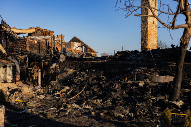 Reliable Fire Damage Removal contractor in El Mirage, AZ by Fire Damage Doption